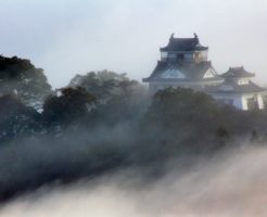 【妊活神社】福井県の妊活神社・子宝神社を大公開