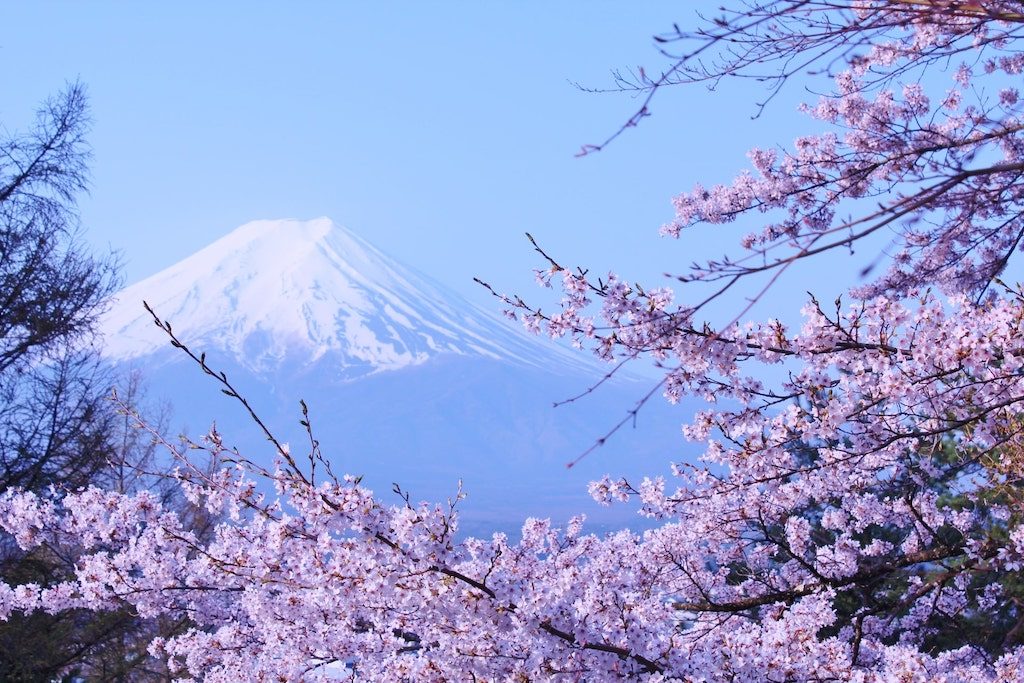 【妊活ジンクス】妊婦さんが陣痛中に描いた「富士山の絵」